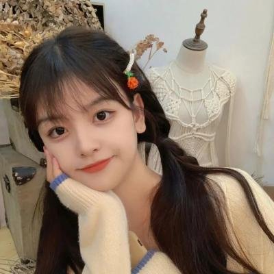 我的天才女友第二季 海报